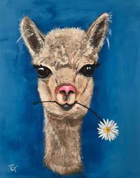 Alpaca-blauw 50x40 acrylverf op doek te koop &euro; 75,-