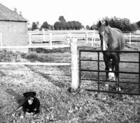 Verzorging aan huis