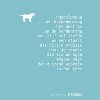 gedicht hond